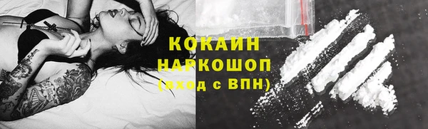 амф Верхний Тагил