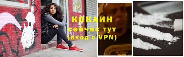 амф Верхний Тагил