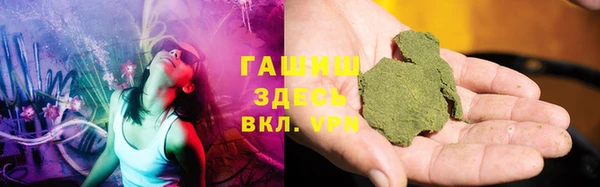 амф Верхний Тагил