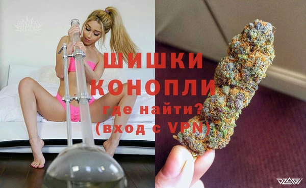 амф Верхний Тагил