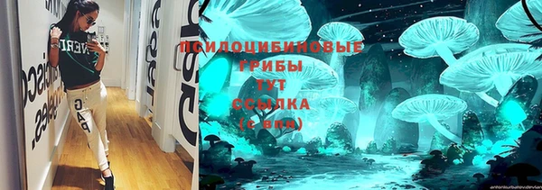 амф Верхний Тагил