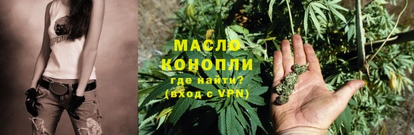 амф Верхний Тагил
