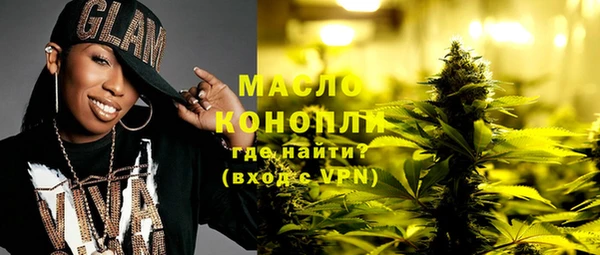 амф Верхний Тагил